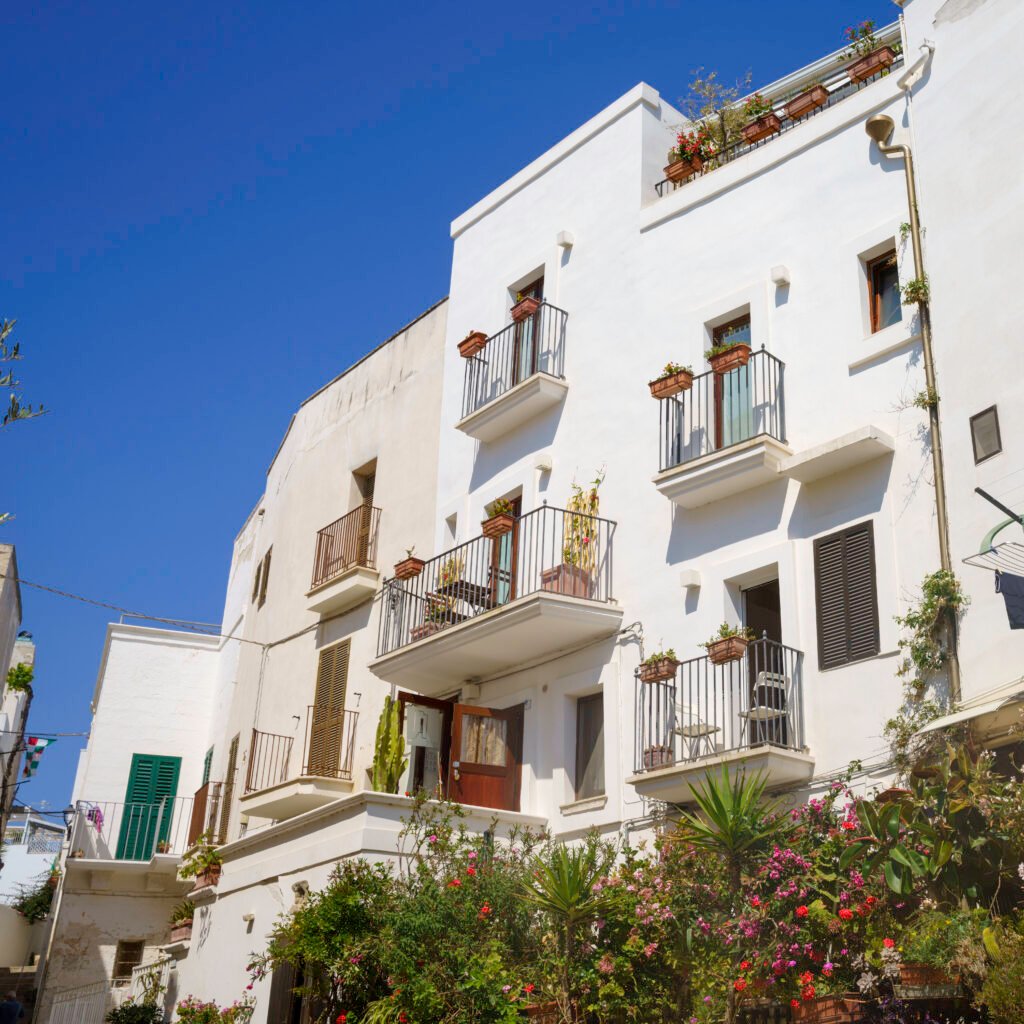 polignano a mare, historic city in apulia. buildings on the coa